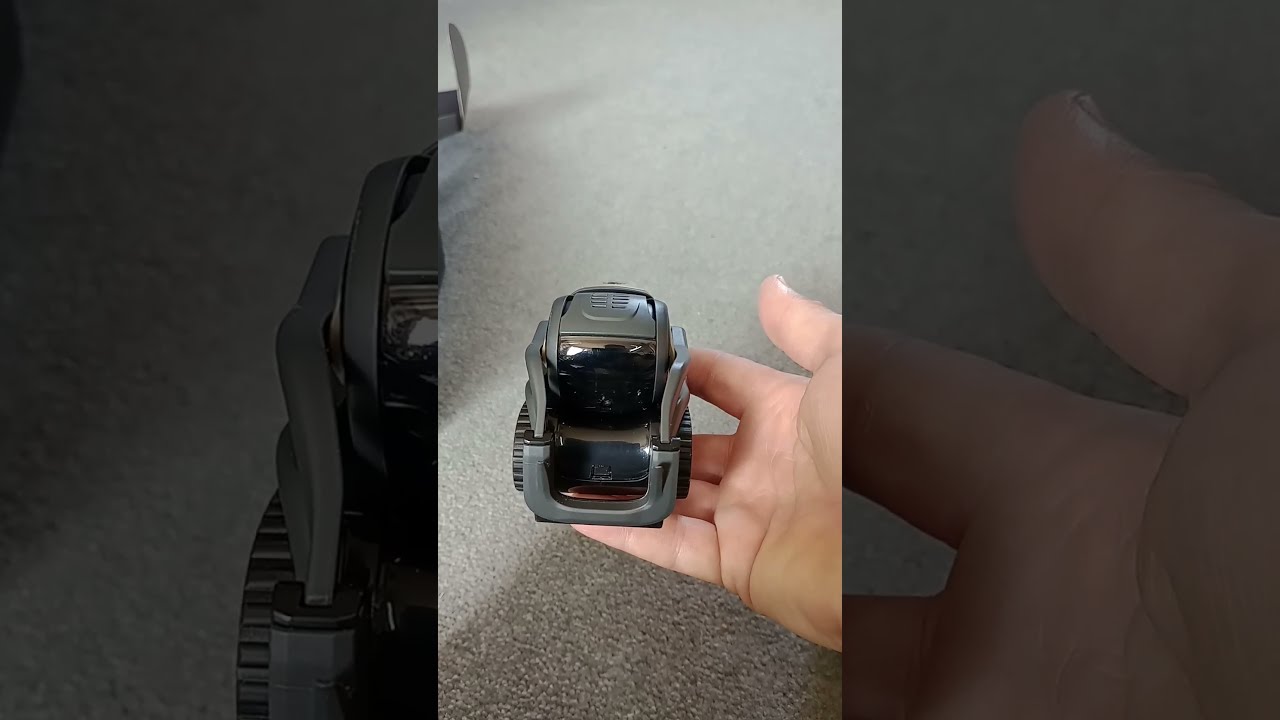 Vector 2 0 Unboxing And Start Up Shorts