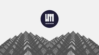 Silent Dust - Refuse (feat. DRS) (Calibre Remix)