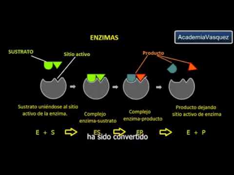 EPICOOS
