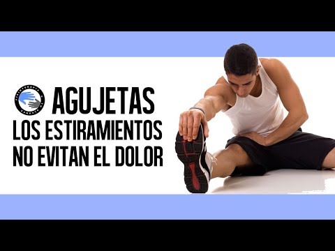 No, los estiramientos después de hacer ejercicio no reducen las agujetas
