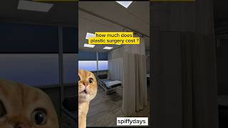 Plastic surgery goes wrong #cat #meme