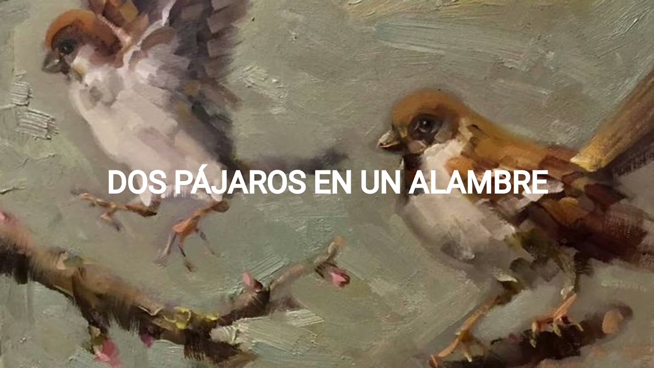Dos pájaros en un alambre [Two Birds • Regina Spektor ]