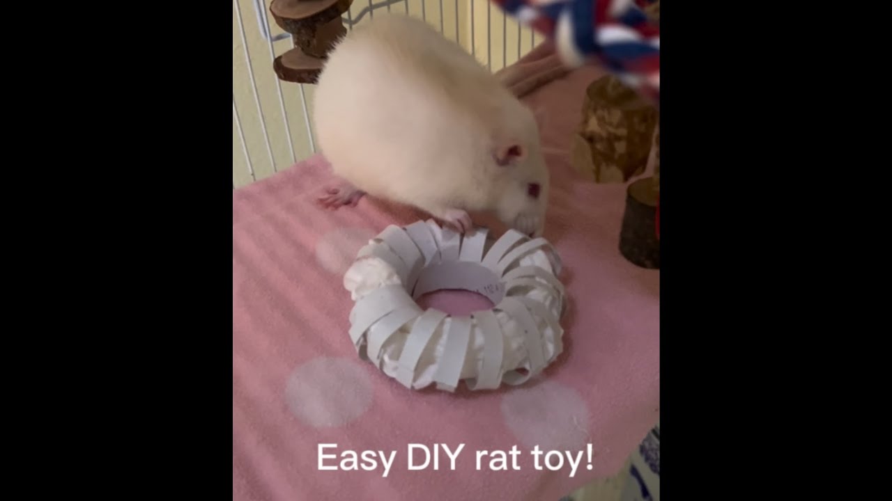 Easy DIY rat toy 🐁 