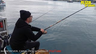 Pesca de Sargos há deriva, com José Silva em São Miguel Açores 1080p HD