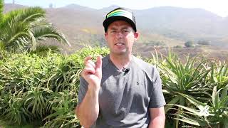 XPT Performance Breathing | Simulating Altitude Training