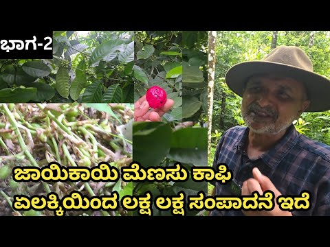 ಜಾಕಾಯಿ ಮೆಣಸು ಲವಂಗ ಏಲಕ್ಕಿ ಇಂದ ಲಕ್ಷ ಲಕ್ಷ ಬರುತ್ತೆ ಮಂಜುನಾಥ್ ಭಟ್ || 2