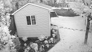Watching Grass Grow Timelapse - Now in Infrared