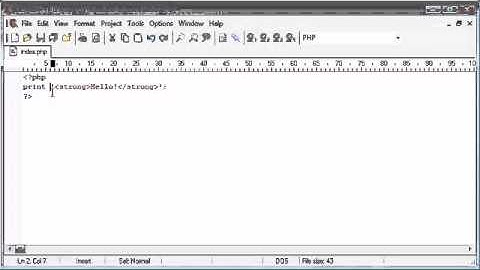 Beginner PHP Tutorial - 10 of 200 - print   (www.dynamicwebart.com)
