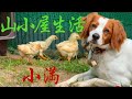 山小屋生活2026〜小満