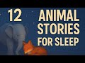 ANIMAL STORIES TO SLEEP