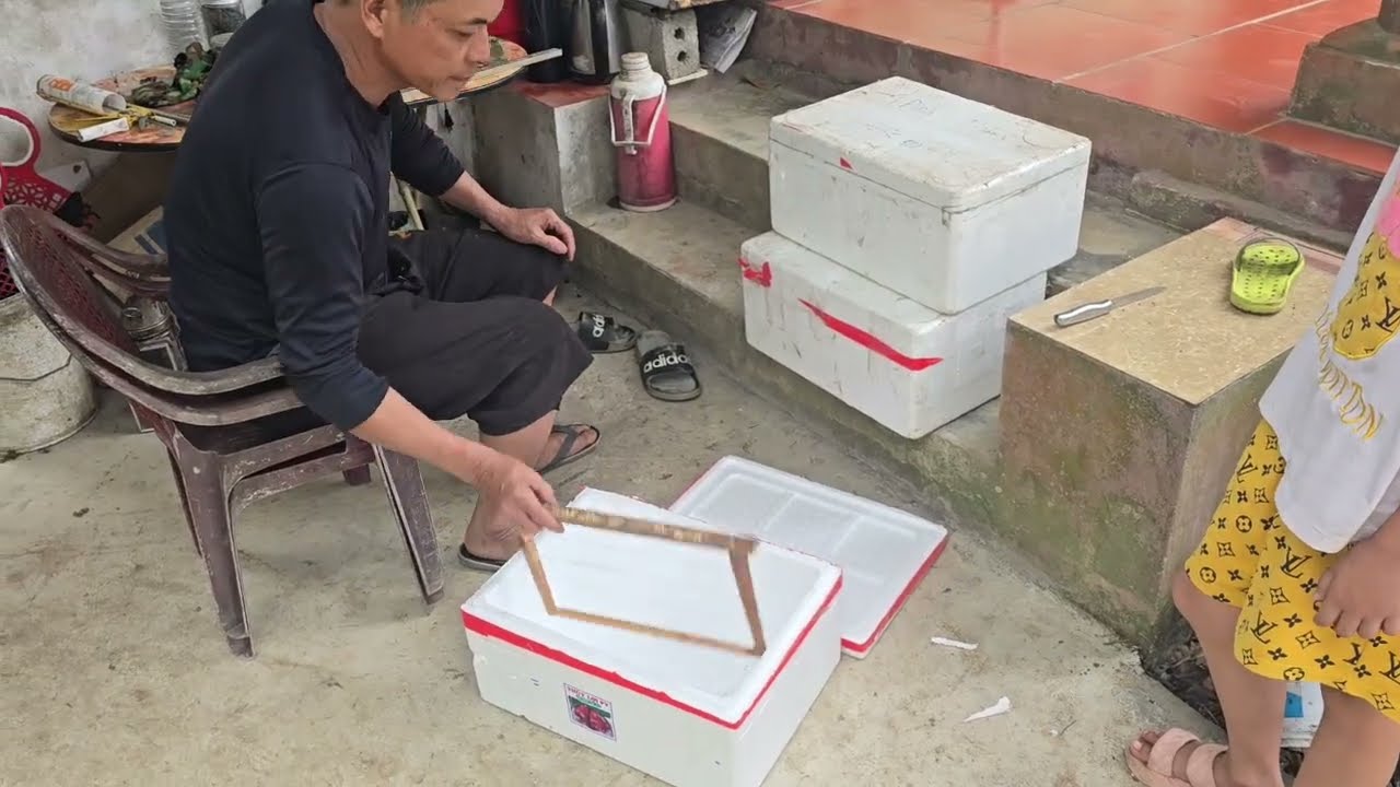 Chia Sẻ Cách Làm Thùng Nuôi Ong Bằng Thùng Sốp Đơn Giản Tiết Kiệm Hiệu Quả Nhất