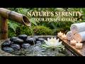 Healing Piano & Gentle River Sounds 🎹 Sleep Music to Cure Insomnia & Overthinking