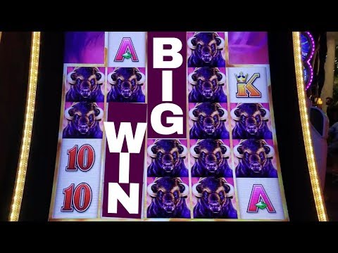 Buffalo Grand Slot Machine Max Bet MASSIVE LINE Hit | Live Slot Play w/NG Slot