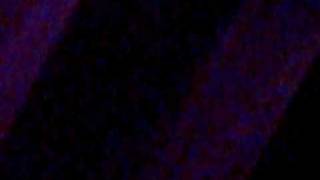 Picture 127.avi