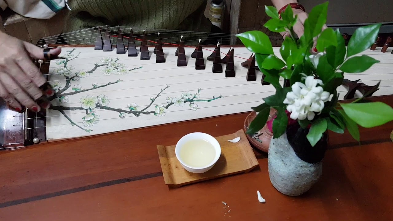 Uyên ương hồ điệp mộng đàn Tranh - youtube
