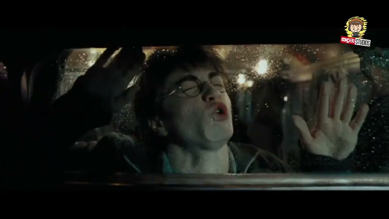 හැරී පොටර් ලංකාවේ හැදුවනම්   පැනලා යන බයියා   Harry Potter Sinhala Dubbed