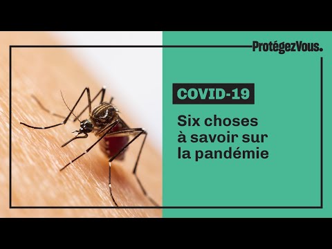 Six choses à savoir sur la pandémie Six choses à savoir sur la pandémie
