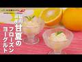 福岡県産 甘夏のフローズンヨーグルト