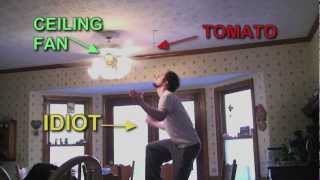 Rude Tube VI Daft Stunts Ceiling Fan Knock Down Extended Cut