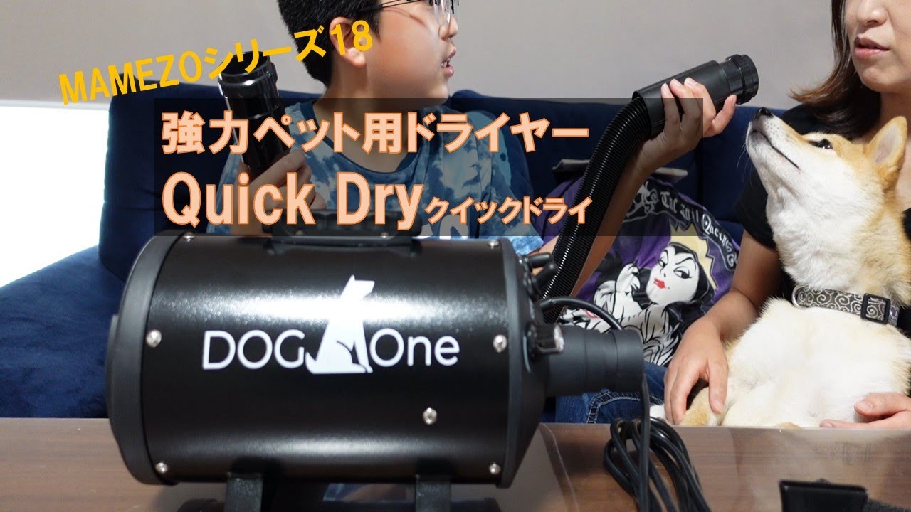 DogOne製 超強風 速乾 専用スタンド Quick ペット用ドライヤー Dry 下向き送風ノズルセット ブラック クイックドライ