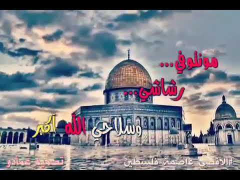حالات واتس اب فلسطينية مولوتوفي رشاشي وسلاحي الله اكبر يوم القدس ناداك القدس الشرف