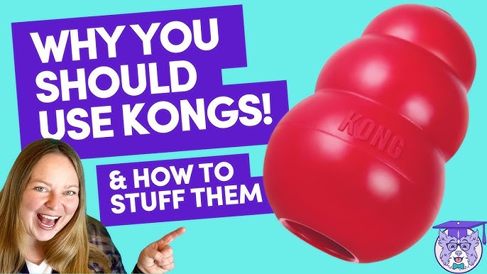 How to use a kong🥰🐾 Here is just one example of how you can use your kong.  In the video we have added kong easy treat paste🥰 You can stuff a kong