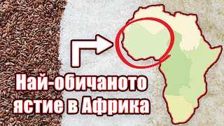 видео: Това е Новата Ми Любима Рецепта За Ориз! картинка: Това е Новата Ми Любима Рецепта За Ориз!