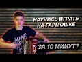 КАК НАУЧИТЬСЯ БЫСТРО ИГРАТЬ НА ГАРМОНИ???