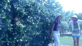 Safari Adventures With Tara And Annika