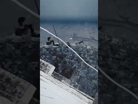 شفت البطل الشهي د القائد إبراهيم النابلسي