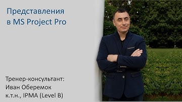Представления в MS Project Pro