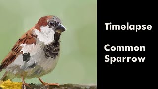 Digital painting time-lapse - ArtRage 1 hour daily art from prompt 'common sparrow'