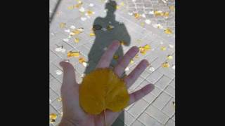 A Lua E Eu Pixote