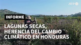 Lagunas desaparecen por mano del hombre y cambio climático en Honduras | AFP