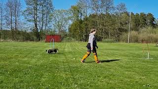 Handling - Uppgift 1