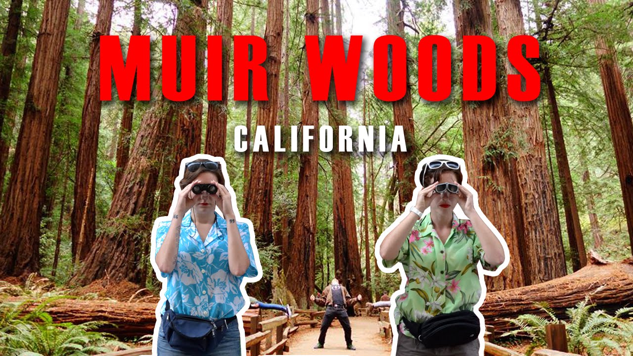 West Coast - Muir Woods