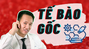 Nhiều người dùng Tế bào gốc nhưng không biết điều này khiến tiền mất tật mang | Dr Hiếu