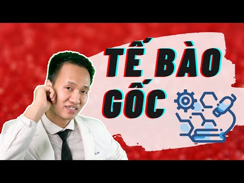 Video: Hình dạng của tế bào má như thế nào?