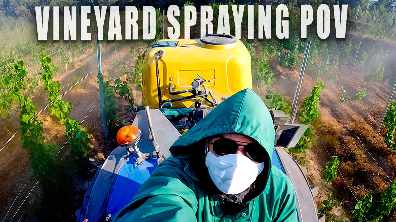 How Vineyards Are Sprayed | Tractor POV Drive!