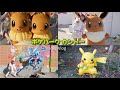 【行く前に絶対見て‼️】ポケパーク カントー1day Vlog