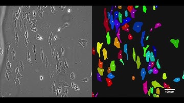 Usiigaci: Label-free instance-aware cell tracking in PCM enabled by machine learning