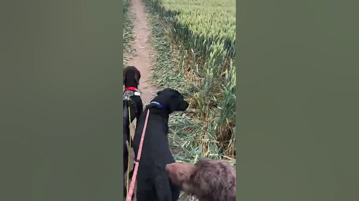 Better footpath access for walkers