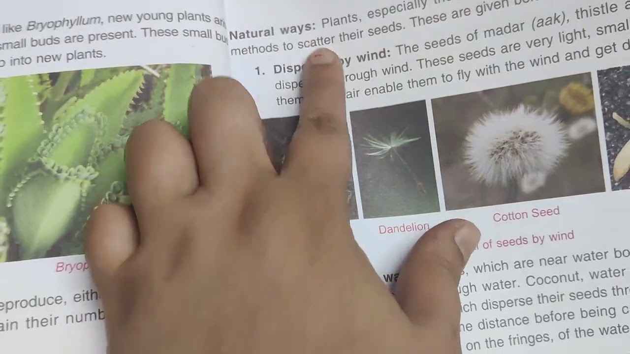 Ch-5 Support system of Education 