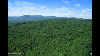 Lots And Land for sale - L63.011 Shaw Road A2 # A2, Lake George, NY 12845