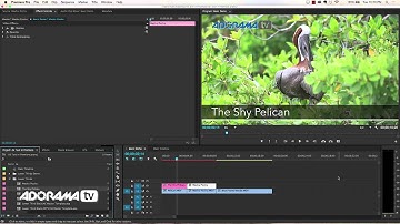 Live Text Templates in After Effects