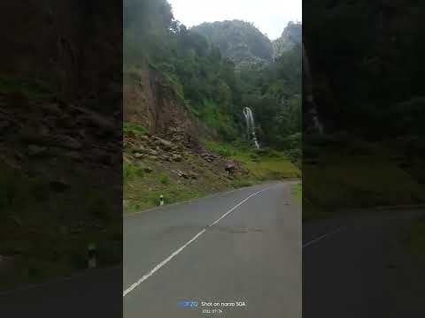 Fincaa Aa Faafaatee Naannoo Oromiya Godina Arsii Aanaa Collee Keysatti Argamu