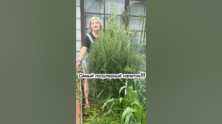 Самый популярный напиток этого лета… приготовим?! ТАРХУН 🧃