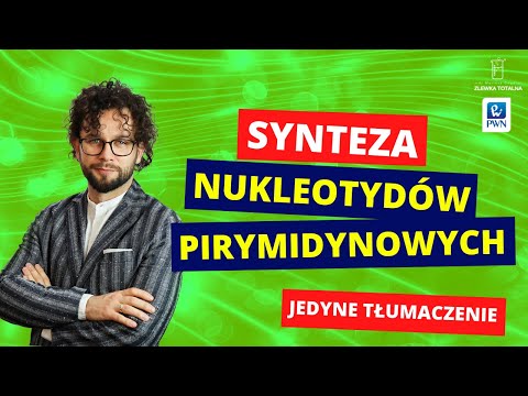 #26 Synteza nukleotydów pirymidynowych [Matura z biologii 2022 + studia] 👩‍⚕🧑‍⚕