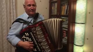 Ирфан Файзулин татарский баянист на свадьбу Ирфан Файзулин татарский баянист на свадьбу
