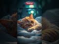❤️ This Cat’s Silent Cry Will Break You 💔 #sadcat
